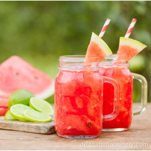 Verarbeitungsmaschine für Wassermelonenmelonensaft